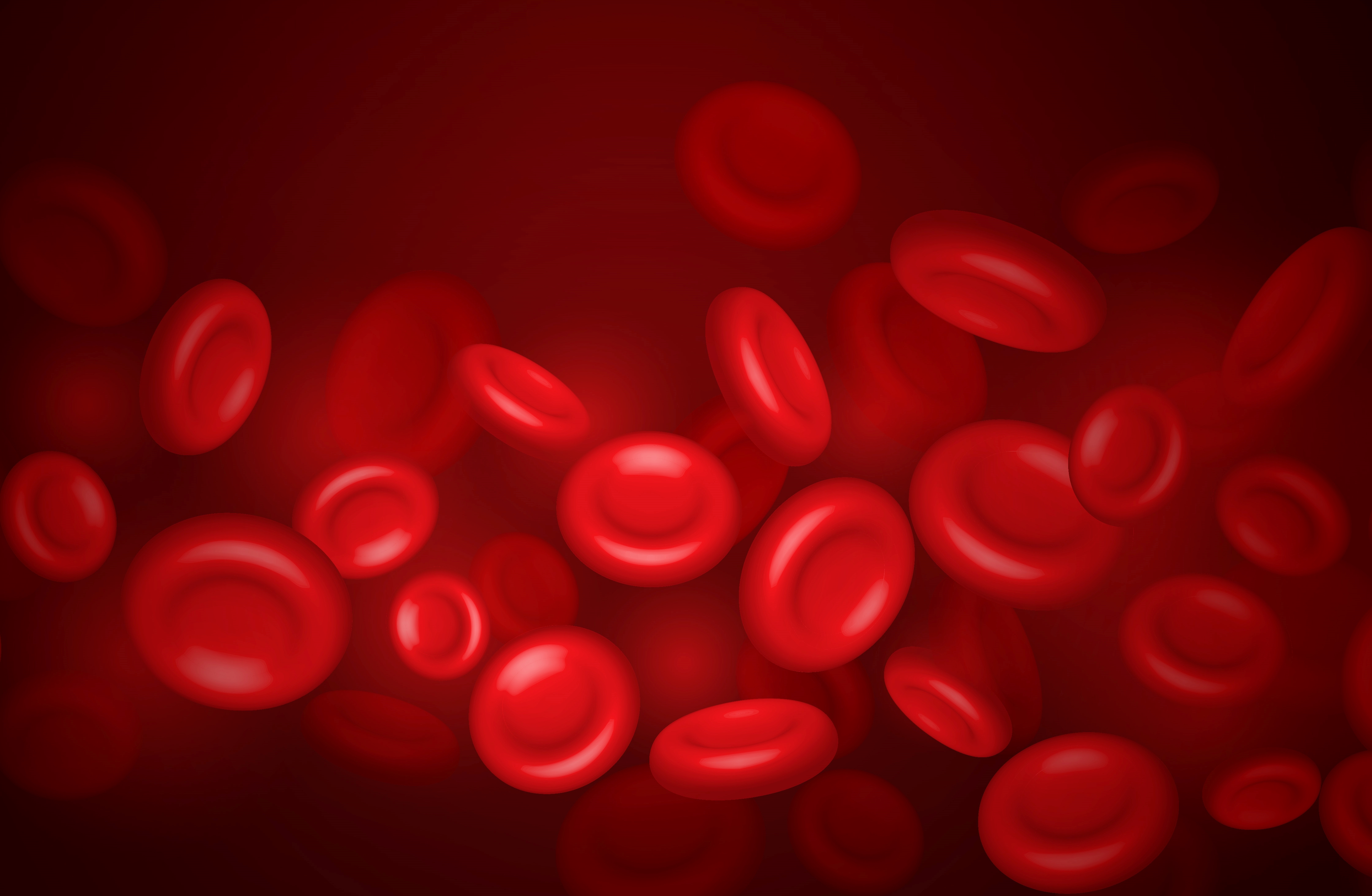 anemia - czerwone krwinki