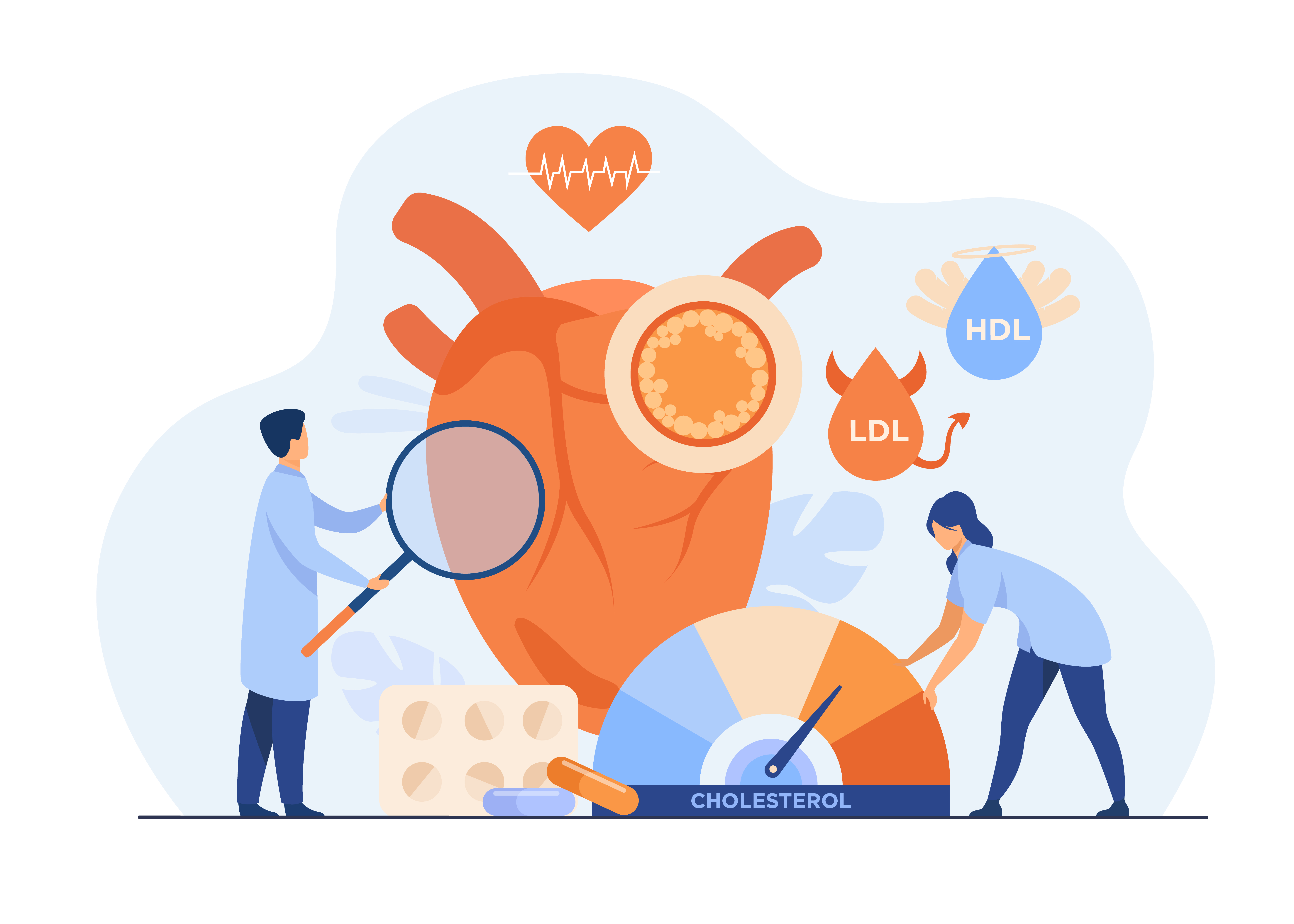 cholesterol HDL i LDL